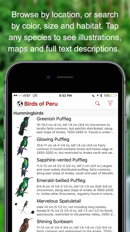 Birds of Peru screenshot 3 of 5