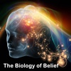 The Biology of Belief:Practical Guide Cards with Key Insights and Daily Inspiration