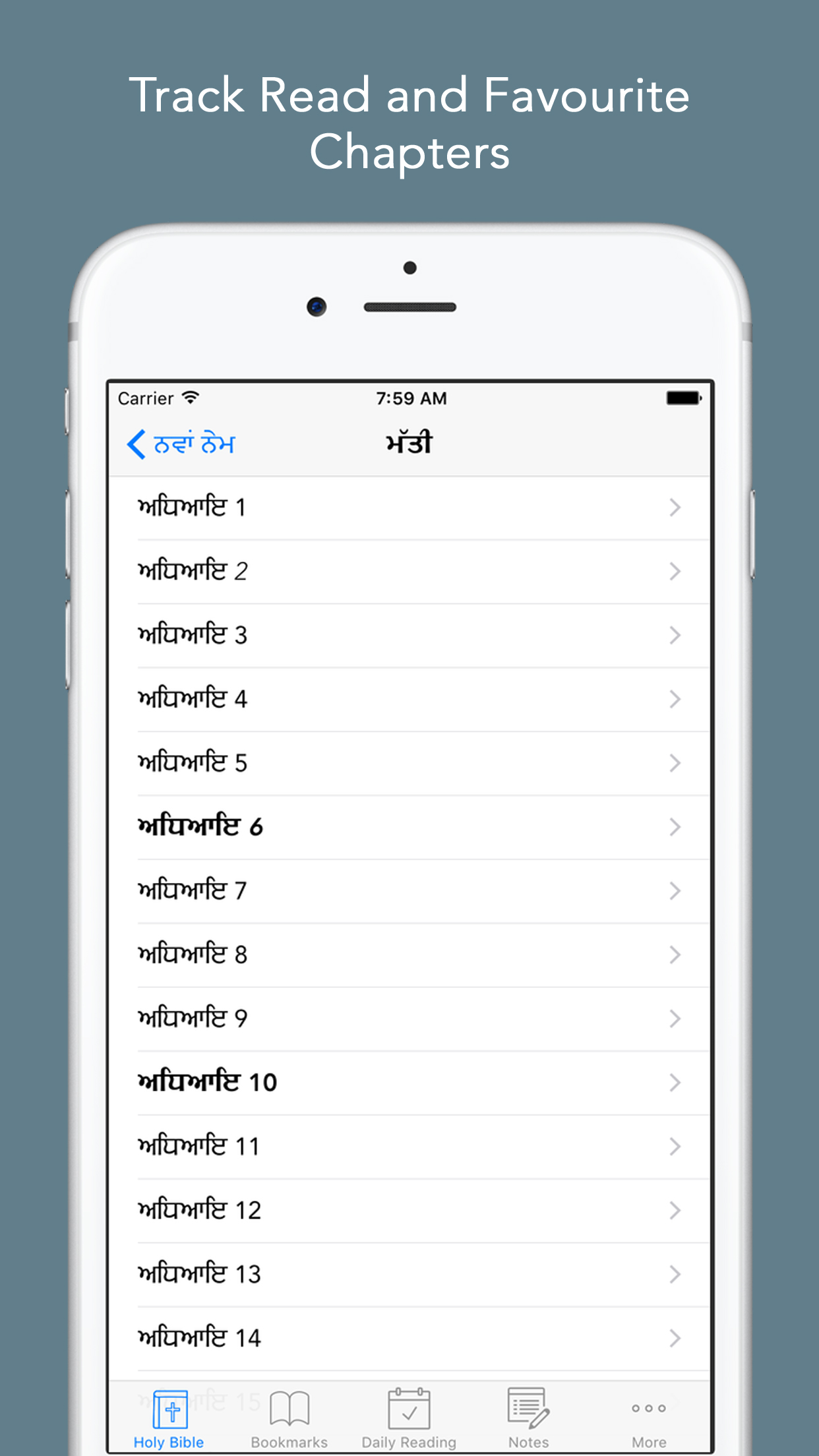 Punjabi Bible: Easy to use Bible app in Punjabi for daily Bible book reading screenshot 5