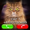 Fake Video Call Cat - iPhoneアプリ