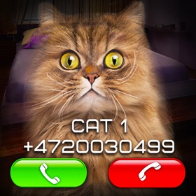 Snímky obrazovky (3) Fake Video Call Cat