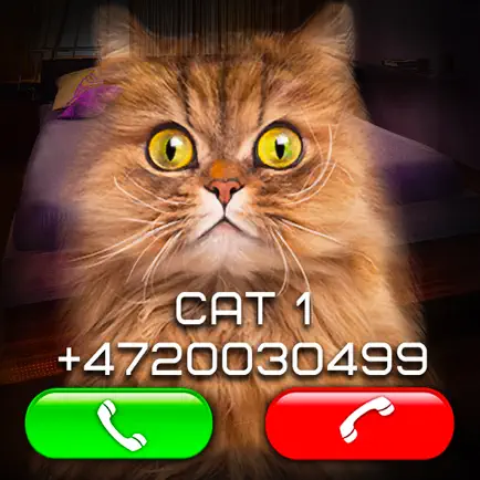 Fake Video Call Cat Cheats
