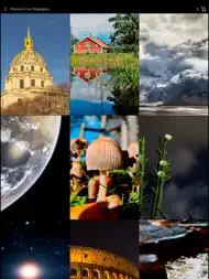 Live Wallpaper Collections ipad bilder 1