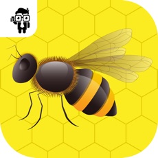 Activities of Trap The Bee