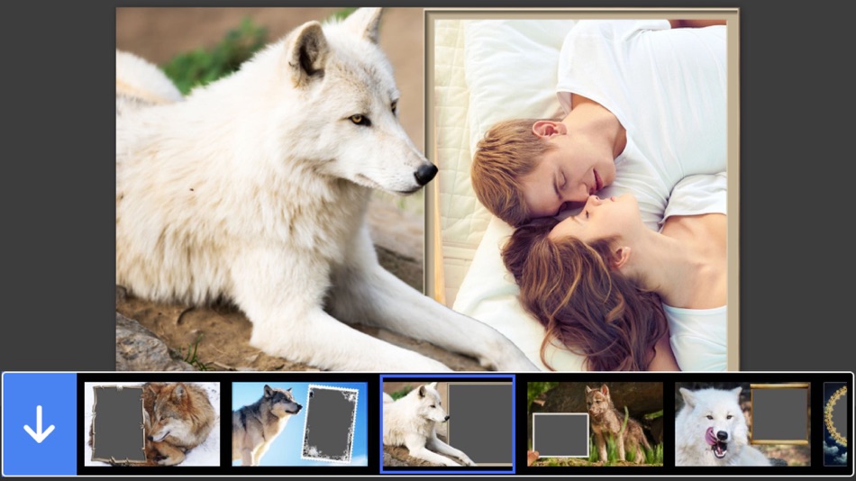 Wolf Photo Frame - Great and Fantastic Frames for your photo - 1.0 - (iOS)