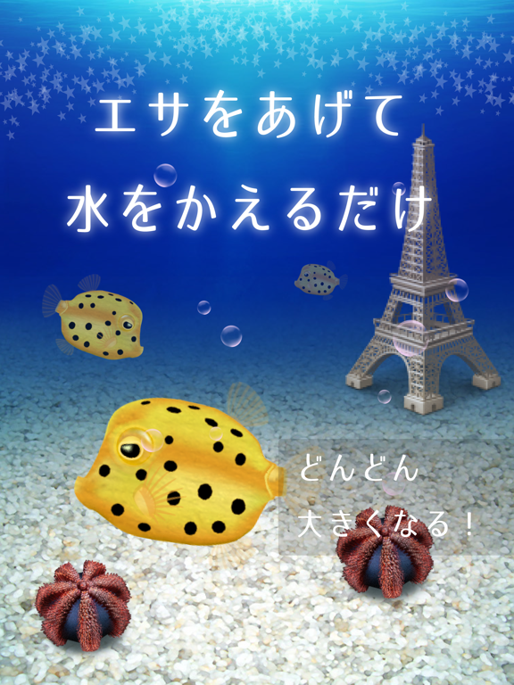 Screenshot #5 pour 幸せのハコフグ育成ゲーム