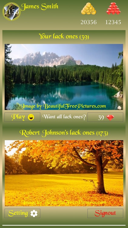 Beautiful Picture Puzzle Z