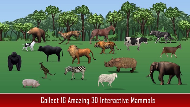 兒童語法動物王國 Animal Kingdom Grammar For Kids(圖2)-速報App