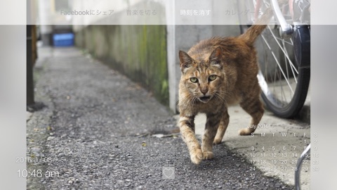 Screenshot #4 for 12 months of Street Cats