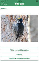 Bird Guide - Offline bird identification app screenshot