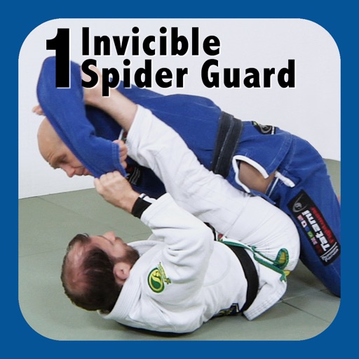 BJJ Spider Guard Volume 1, Understanding the Spider Guard
