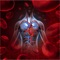 Human Anatomy : Circulatory System