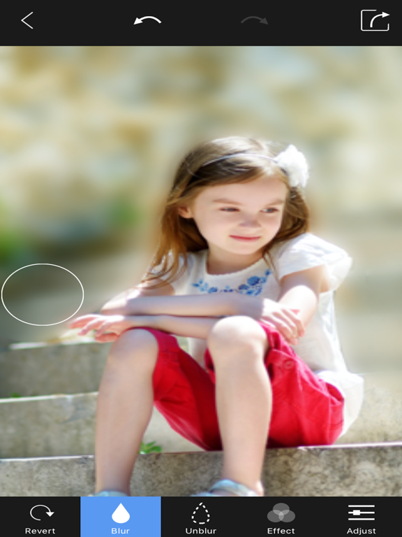 Screenshots of Blur Photo Background - Touch Blur Effect Editor for iPad