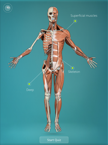 Anatomy Quiz - muscles and bonesのおすすめ画像1