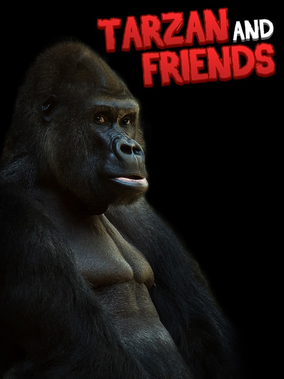 Photo knockout prank - legend of tarzan style lens+selfie sticker maker free iPad screenshot 5 - Business app