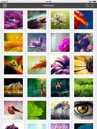 Wallpaper Collection Macro Edition ipad bilder 3