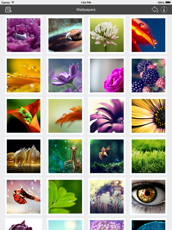 Screenshot #4 for Wallpaper Collection Macro Edition