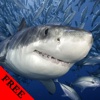 Shark Photos & Video Galleries FREE