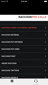 Raccoon Calls - Raccoon Hunting - Raccoon Sounds iphone bilder 0