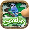 Scratch The Pics : Bird Trivia Photo Reveal Games Pro