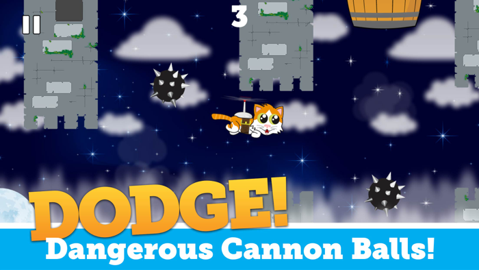 Kitten Rocket Flight Training