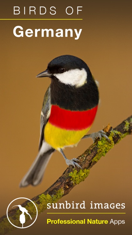 Birds of Germany - a field guide to identify the bird species native to Germany
