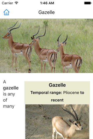 Encyclopedia of Animals screenshot 3