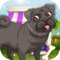 Pug Makeover & Dress Up