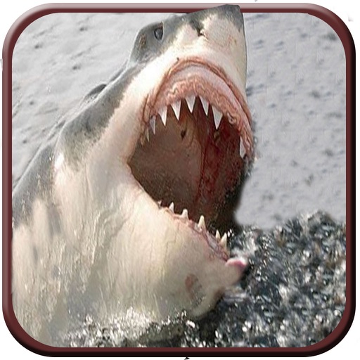 2016 Dead Shark Spear Hunt : Underwater Hunting Tacties Sniper Attack icon