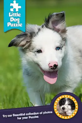 Game screenshot Very Cute Puppies To Pet - Free mod apk