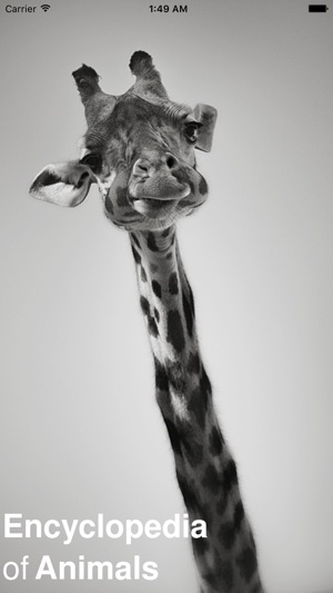 CHI Encyclopedia of Animals