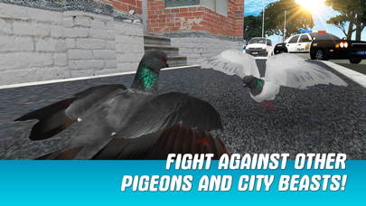 City Pigeon Simulator... screenshot1