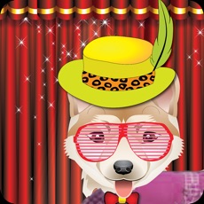 Activities of Dog Show - Crazy pet dressup care and beauty spa salon game