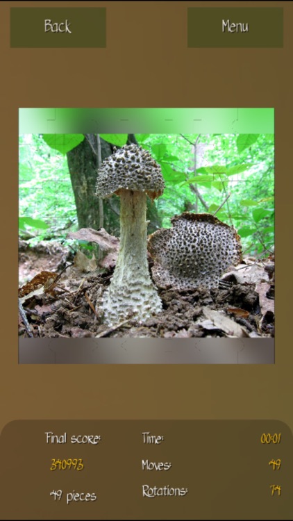 Mushrooms Puzzles Collection