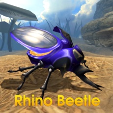 Activities of Rhino Beetle Simulator