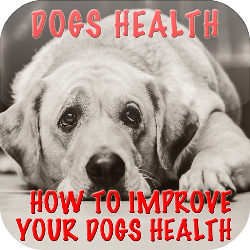 Dog's Health Problems - How To Improve Your Dog's Health+ icon