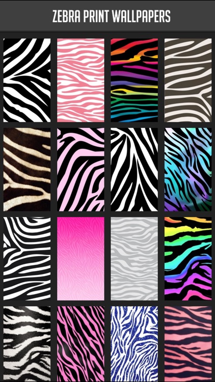 Zebra Print Wallpapers