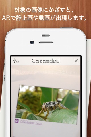 Cazasdeel screenshot 3