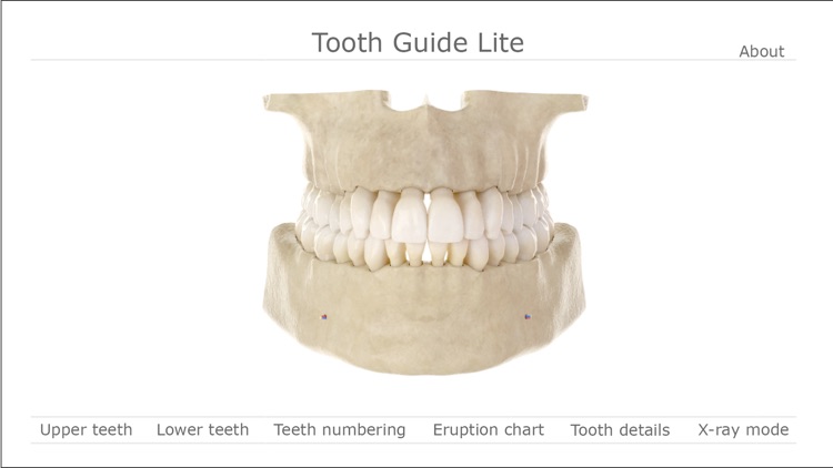 Tooth Guide Lite