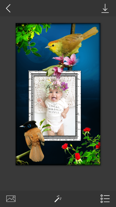 Screenshot #1 pour Bird Photo Frames - Make awesome photo using beautiful photo frames