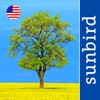 Tree Id USA - identify over 1000 of America's native species of Trees, Shrubs and Bushes icon