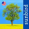Tree Id USA - identify over 1000 of America's native species of Trees, Shrubs and Bushes contact information