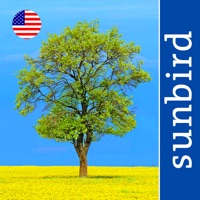 Tree Id USA  logo