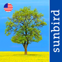 Tree Id USA - identify over 1000 of Americas native species of Trees Shrubs and Bushes