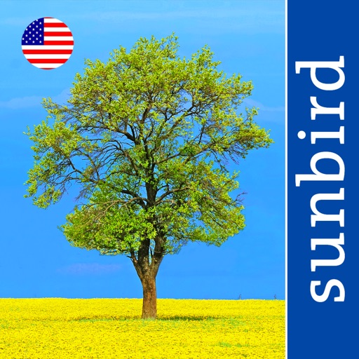 Tree Id USA - identify over 1000 of America's native species of Trees, Shrubs and Bushes icon