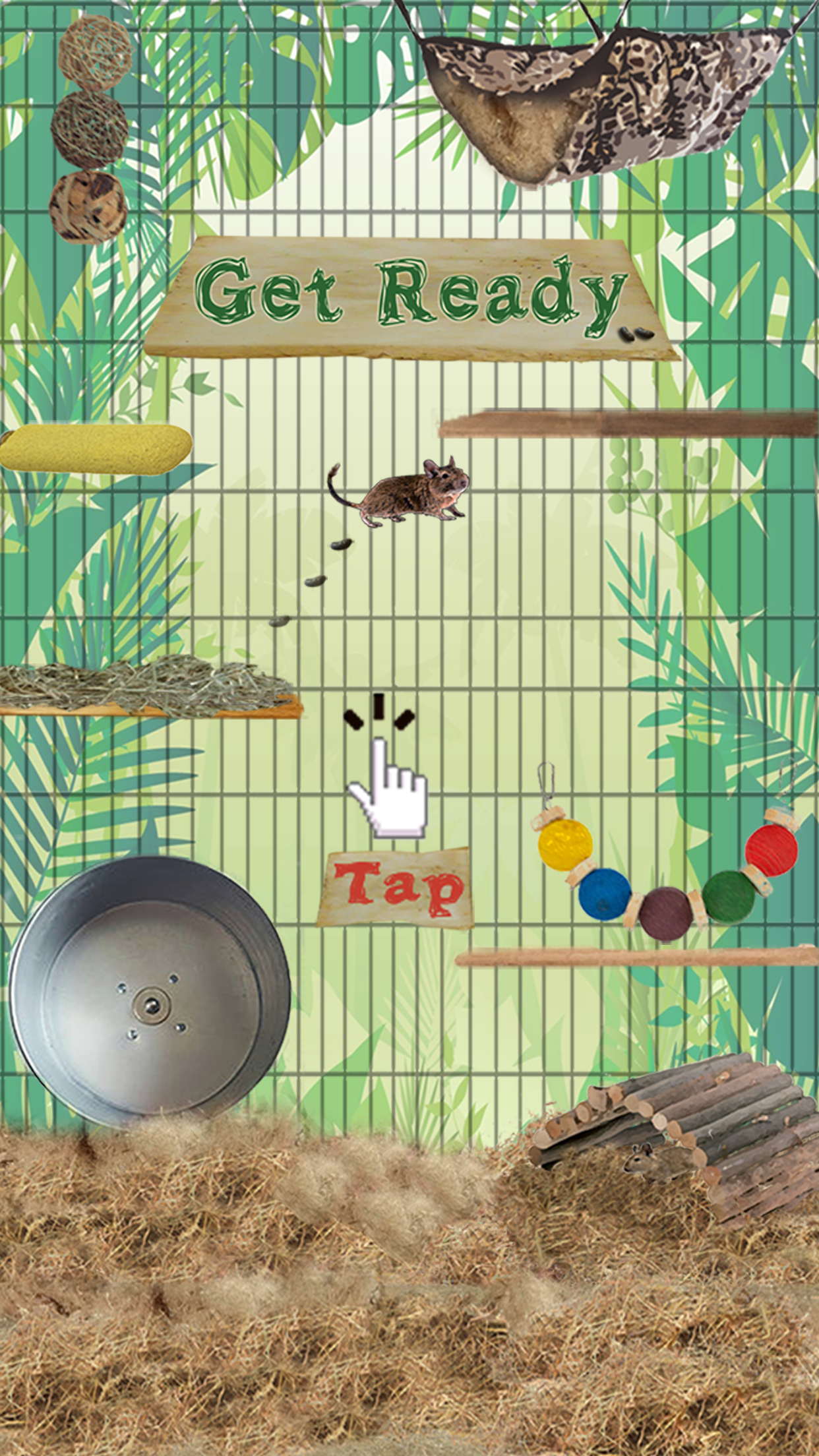 Donny Degu