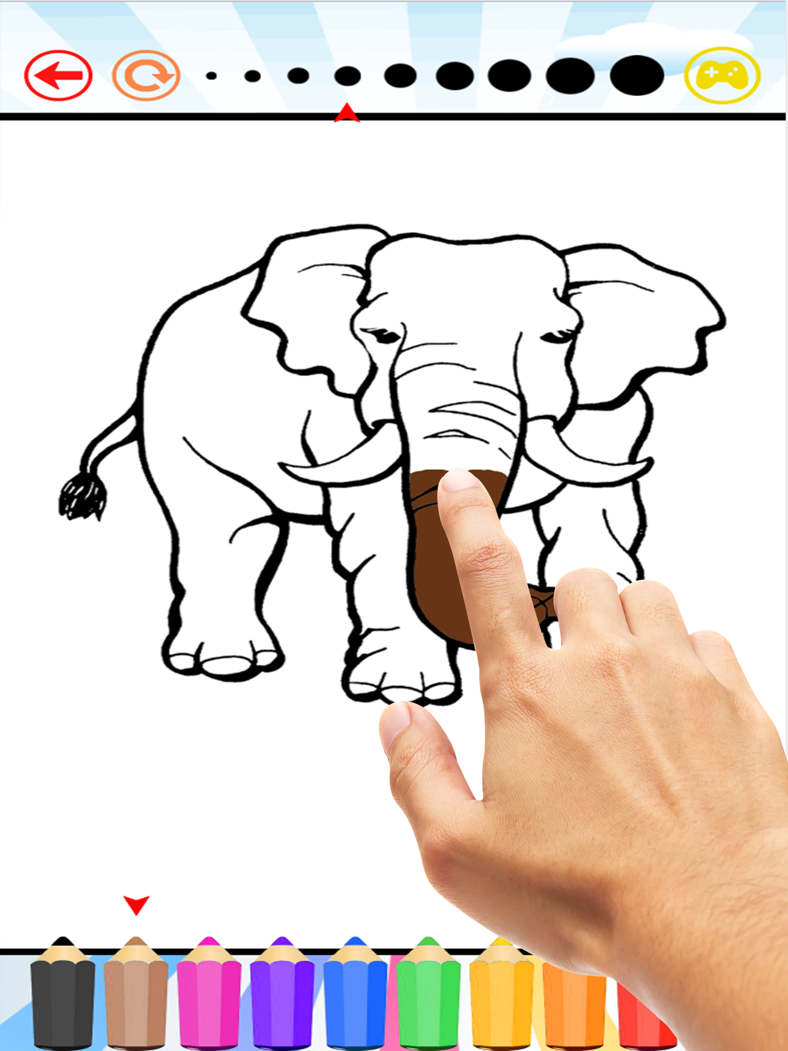 elephant coloring book for kids : learn to paint elephants and mammoth