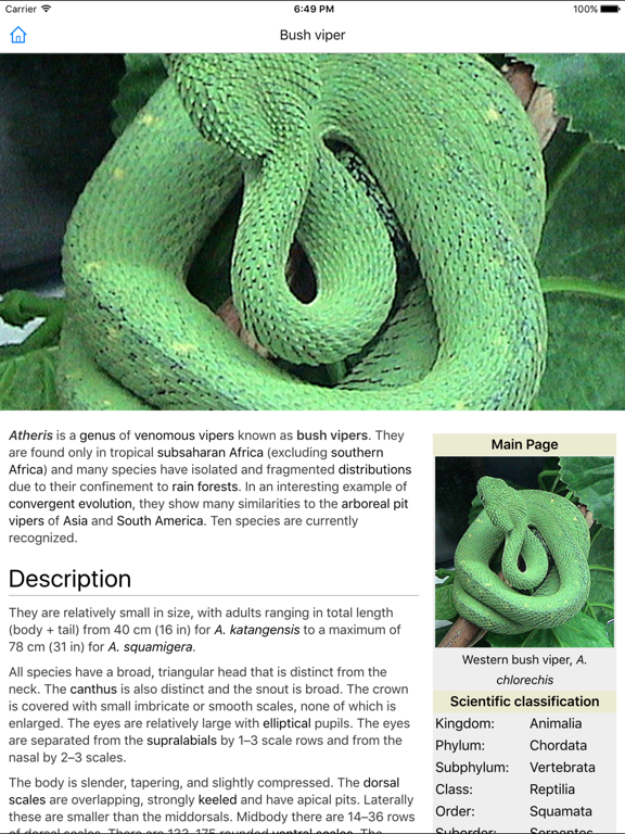 CHI Encyclopedia of Snakes iPad screenshot 5 - Education app
