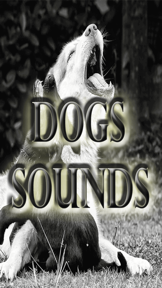 Barking Dog Sounds screenshot