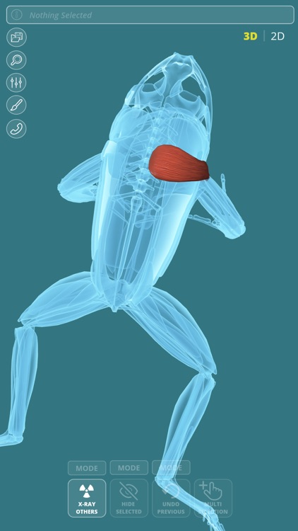 Visual Anatomy - Frog screenshot-4
